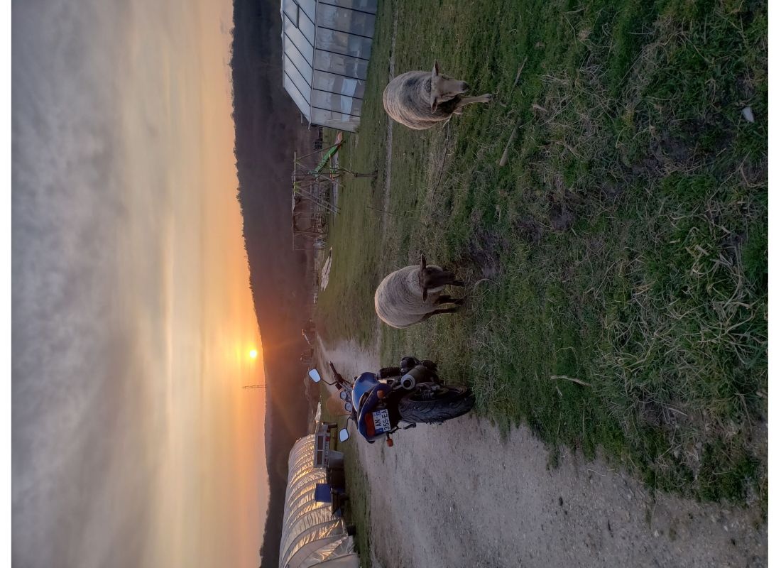 Le Jardin de Maé — Kemp in Montbéliard