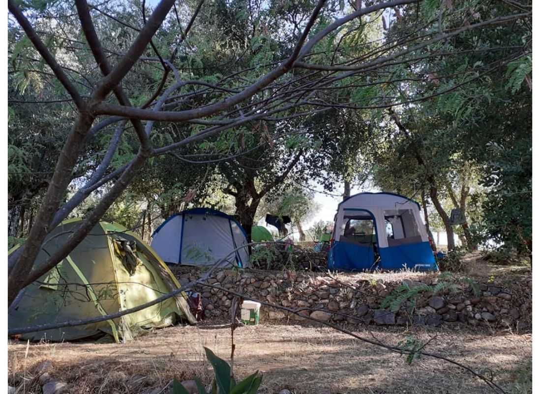 Colinas do Tejo — Camperplads in Abrantes