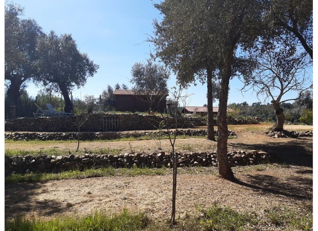 Colinas do Tejo — Area Autocaravanas in Abrantes