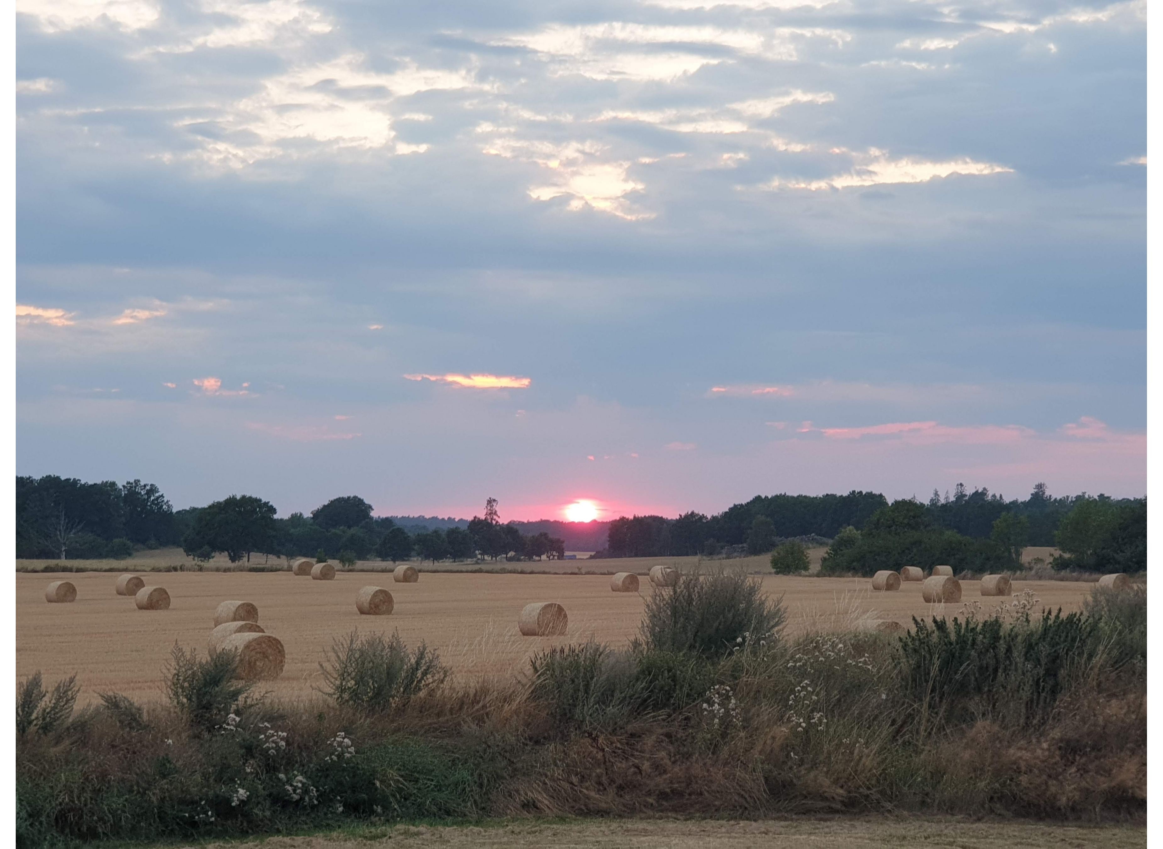 Hammarby — Campingplass in Kalmar