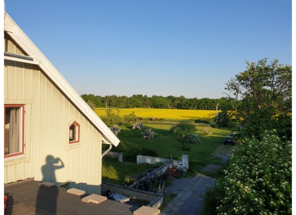 Hammarby — Foto 2