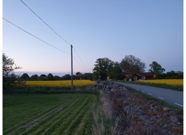 Hammarby — Photo 4