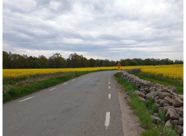 Hammarby — Photo 5