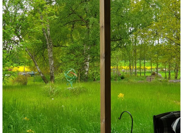 Hammarby — Photo 6