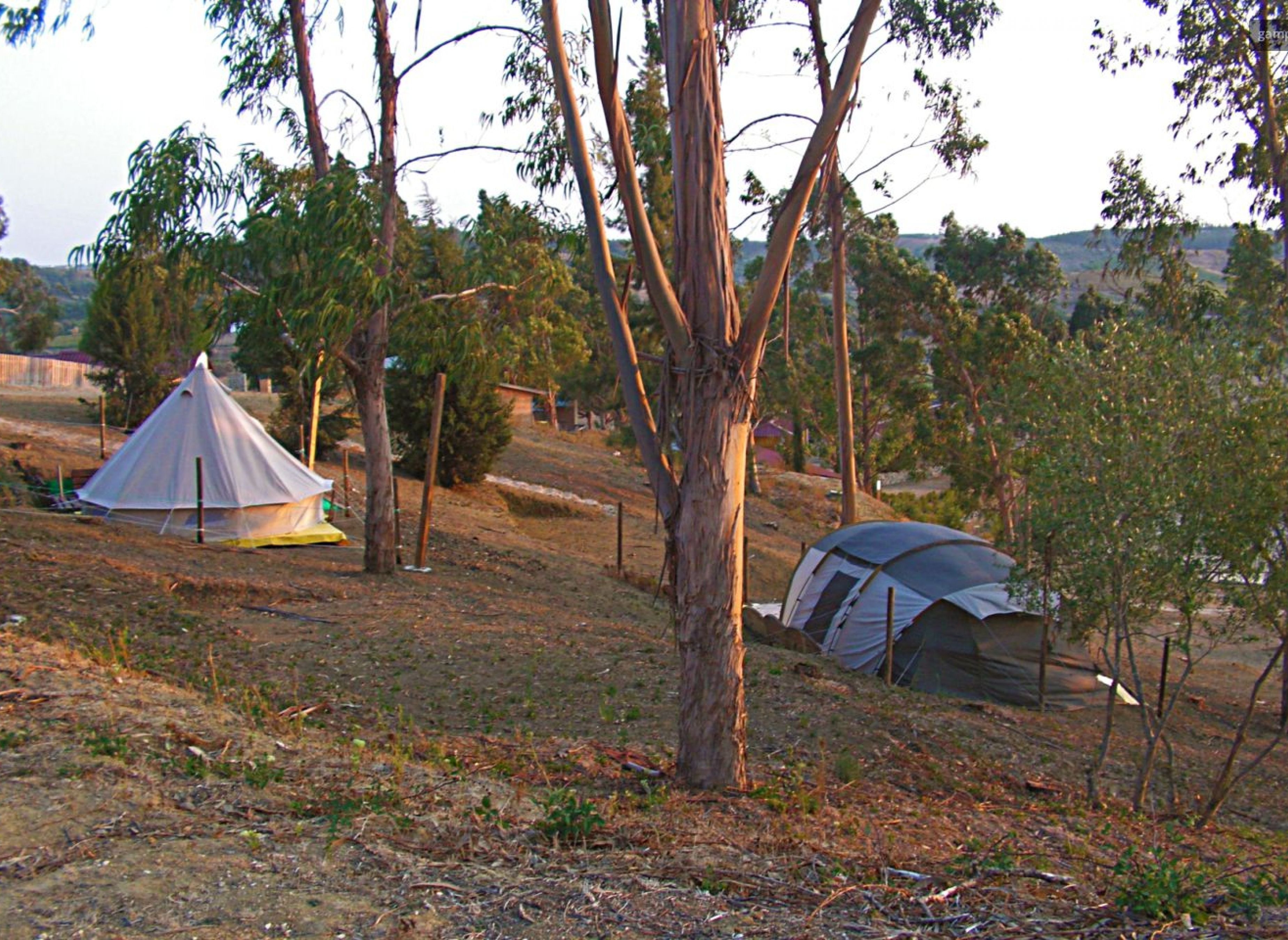 Herdade da Hera — Camping in Manique do Intendente