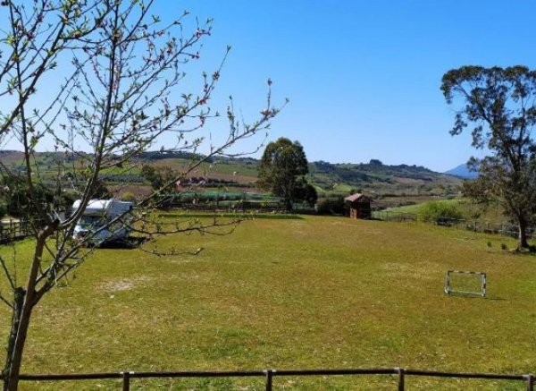 Herdade da Hera — Photo 3