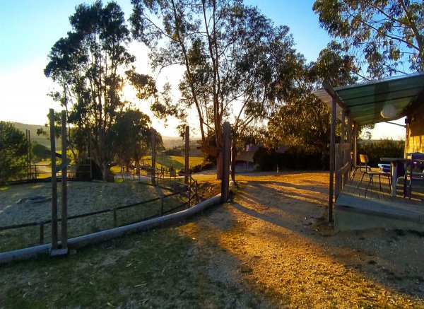 Herdade da Hera — Photo 5