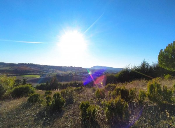 Herdade da Hera — Foto 2