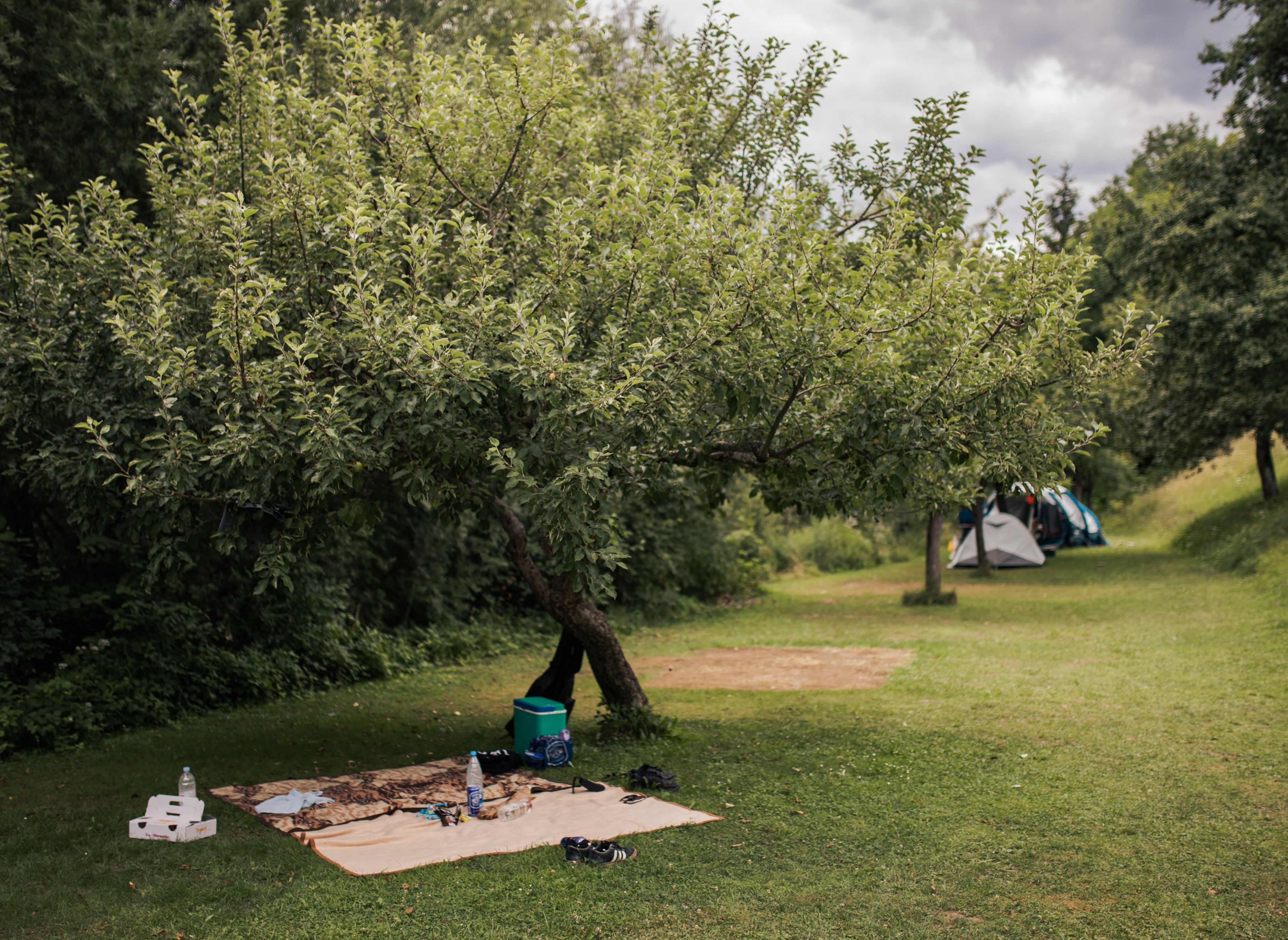 Forest Camping Morzije — Kamp yeri in Ljubno ob Savinji