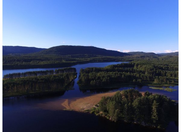 Sigridnes — Photo 4