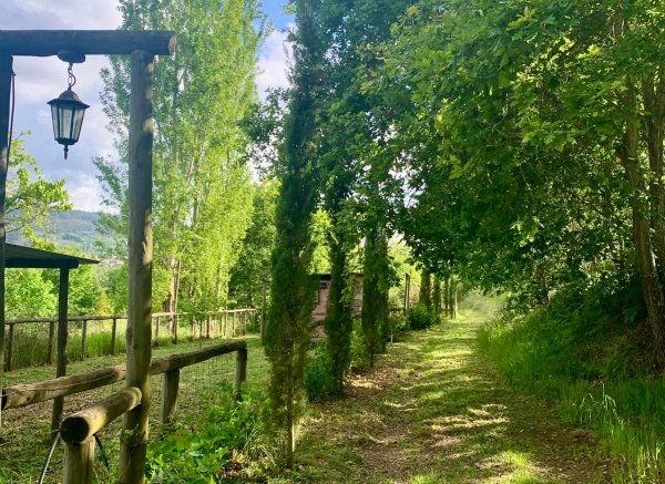 Landstory Camping & Glamping — Foto 4