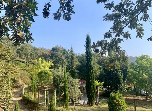 Landstory Camping & Glamping — Photo 3