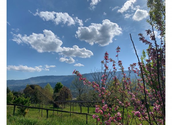 Landstory Camping & Glamping — Photo 6