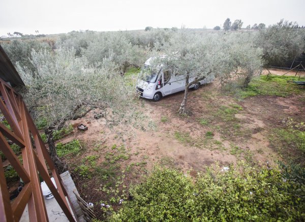 Espacio Tolteca — Photo 2