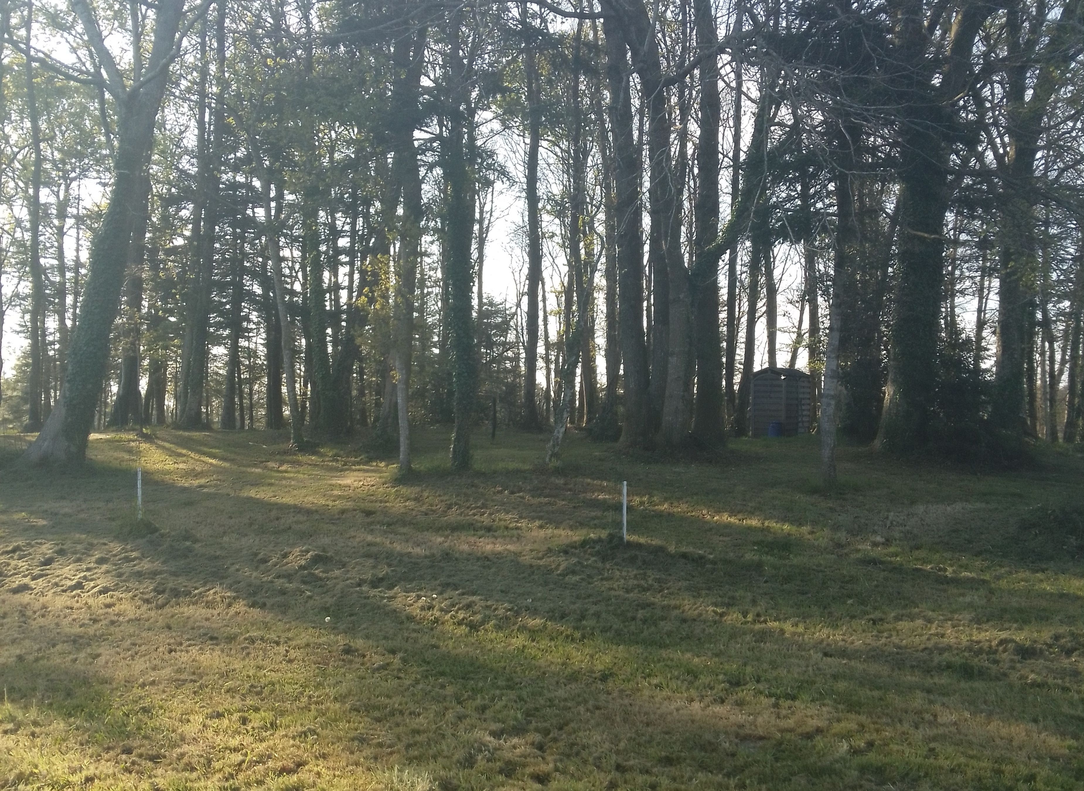 Le bois de kernaour — Campervan Site in Trégunc
