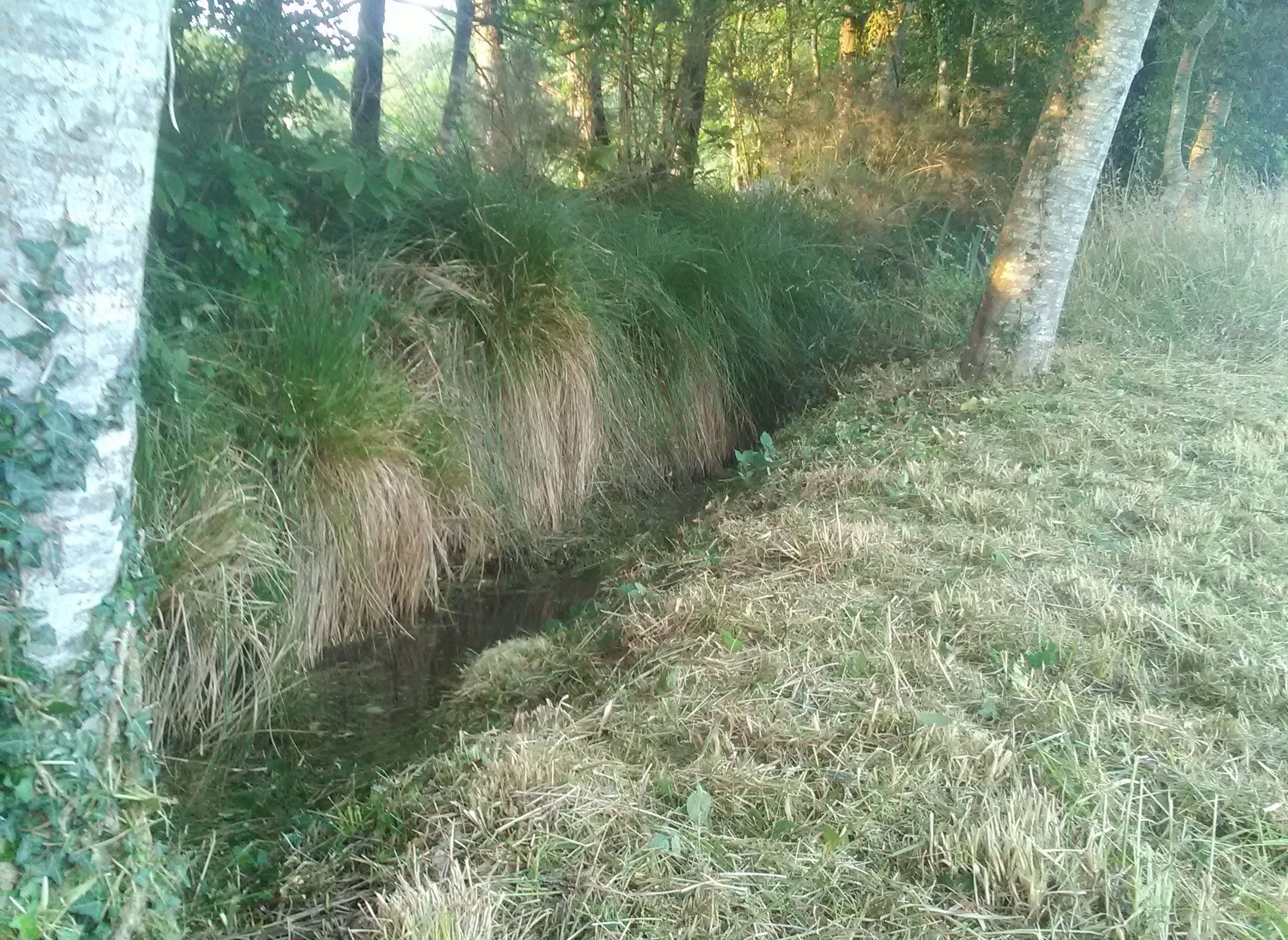 Le bois de kernaour — Bobilplass in Trégunc