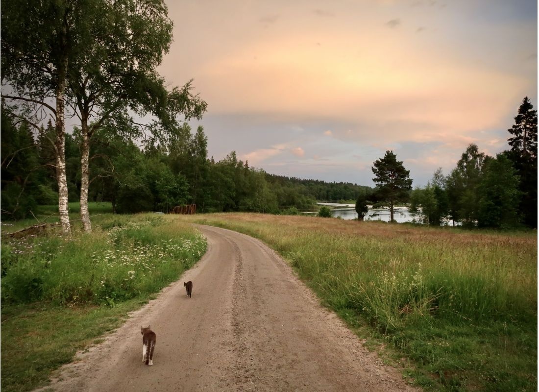Spången — 露营地 in Hökerum