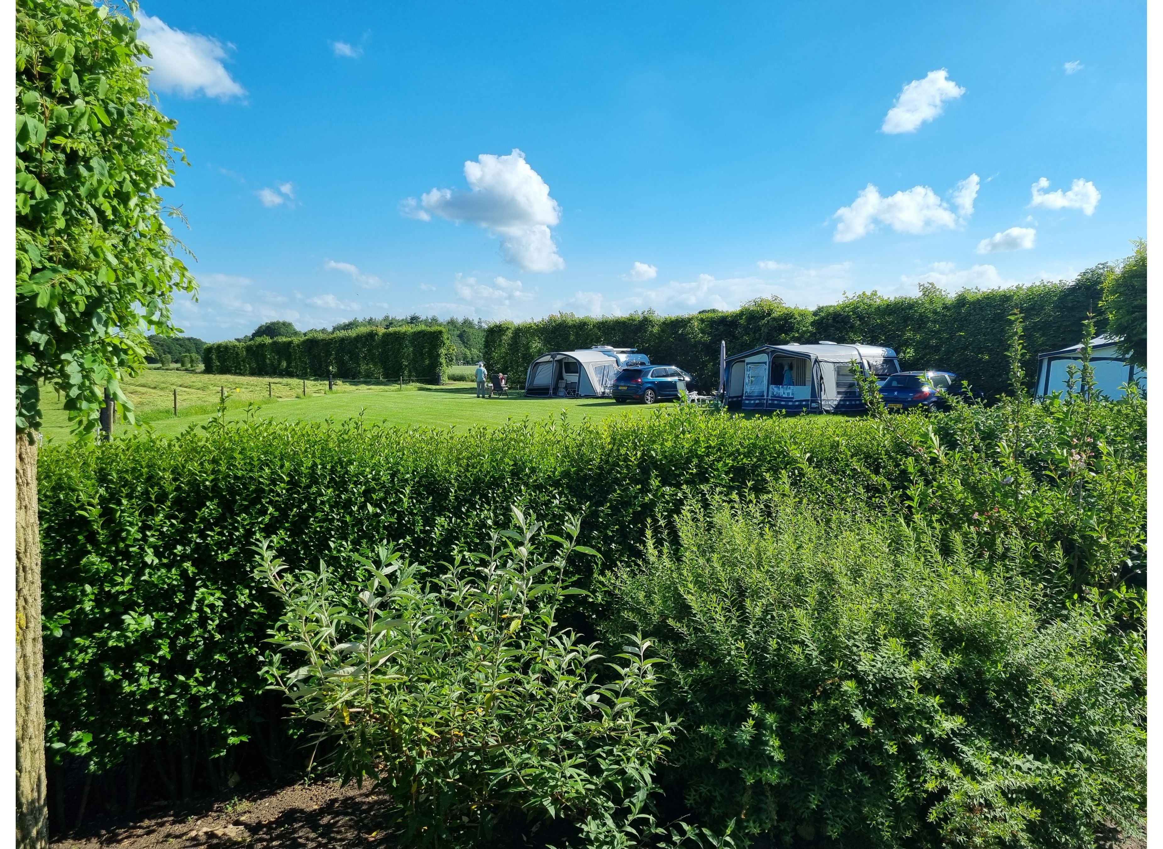Boerderijcamping Varsenerveld — Kemping in Ommen 