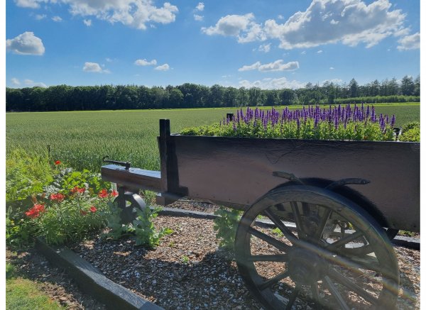 Boerderijcamping Varsenerveld — Photo 2