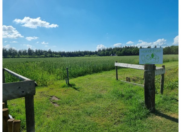 Boerderijcamping Varsenerveld — Zdjęcie 4
