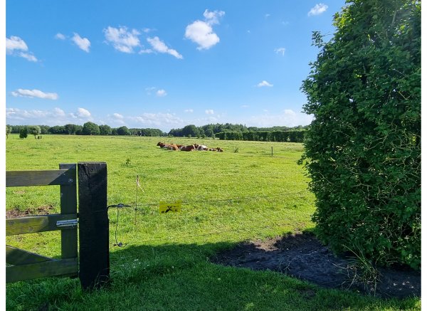 Boerderijcamping Varsenerveld — Zdjęcie 3