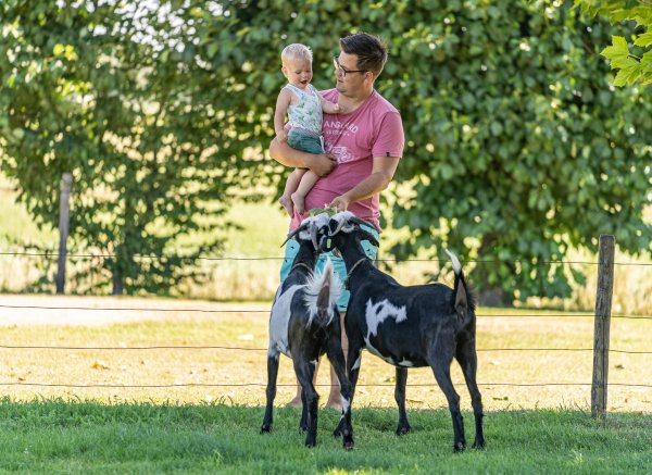 Boerderijcamping Varsenerveld — Photo 3