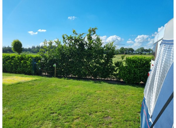 Boerderijcamping Varsenerveld — Photo 6