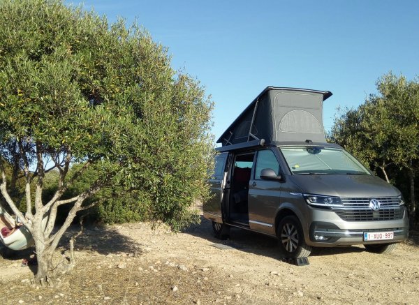 Quinta do Sol Poente - Sunset Farm — Photo 6