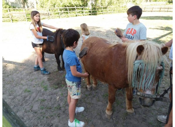 Minicamping de Eendenkooi — Photo 2