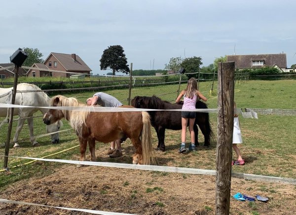 Minicamping de Eendenkooi — Photo 5