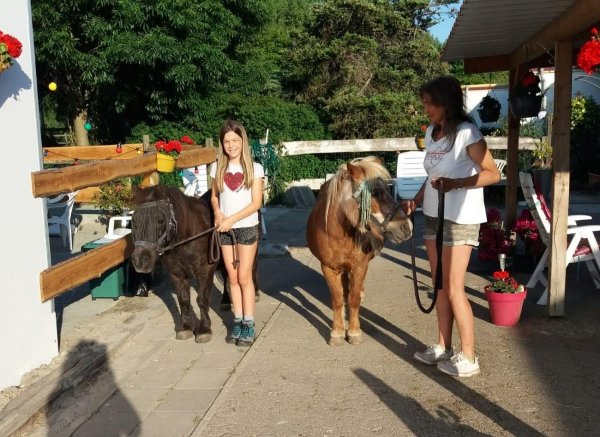 Minicamping de Eendenkooi — Photo 6