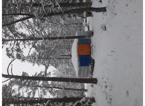 Skogsfamnen — Photo 3