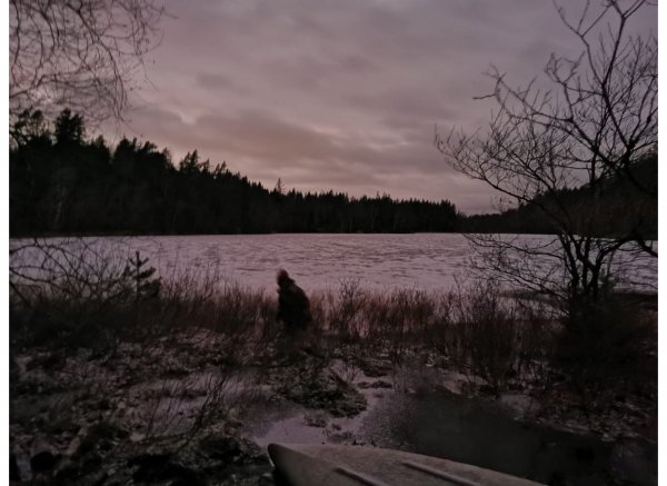 Skogsfamnen — Photo 4