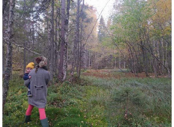 Skogsfamnen — Photo 5