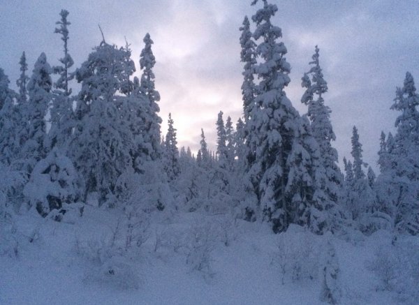 Skogsfamnen — Photo 6