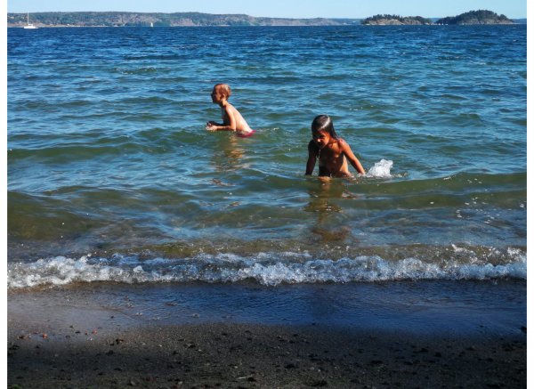 Skogsfamnen — Foto 3