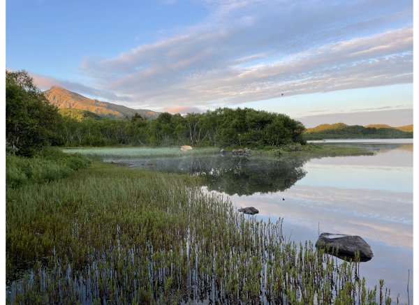 Bjørkengen gård — Photo 2