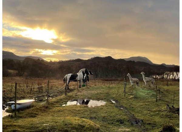 Bjørkengen gård — Photo 3