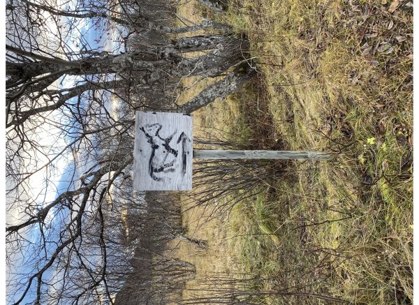 Bjørkengen gård — Photo 5