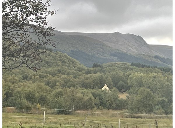 Bjørkengen gård — Photo 6