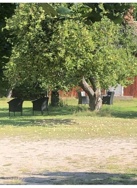 Österbors gamla skola — 露营地 in Österfärnebo