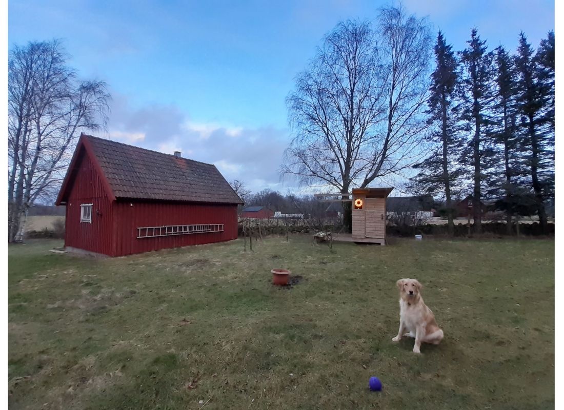 Knutstorp Ranch — Campingplass in Tyringe