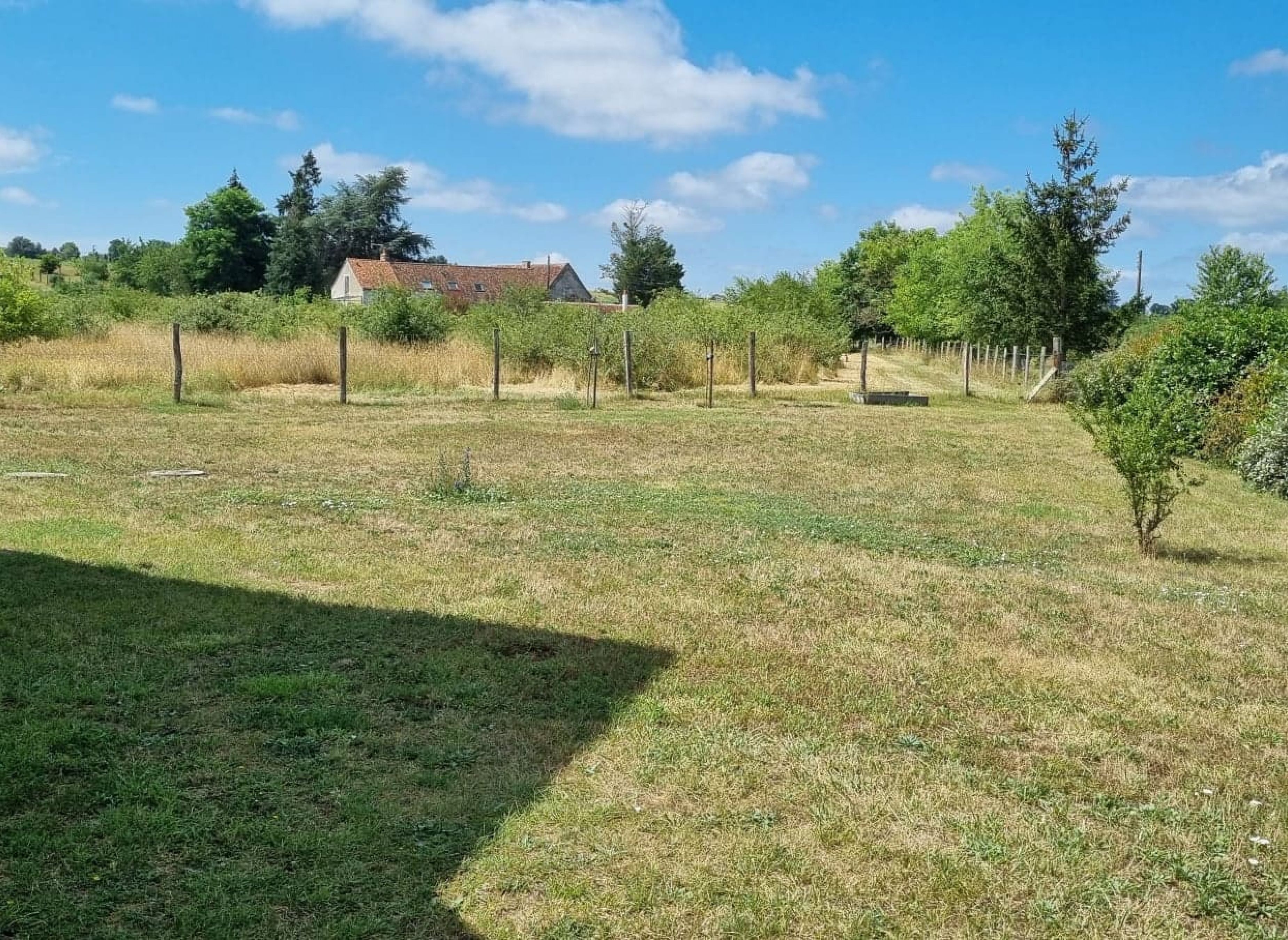 Terrain au calme à la campagne — Camping in Saché