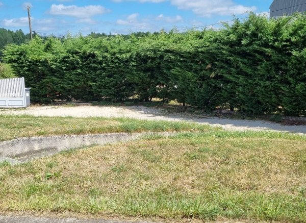 Terrain au calme à la campagne — Photo 5