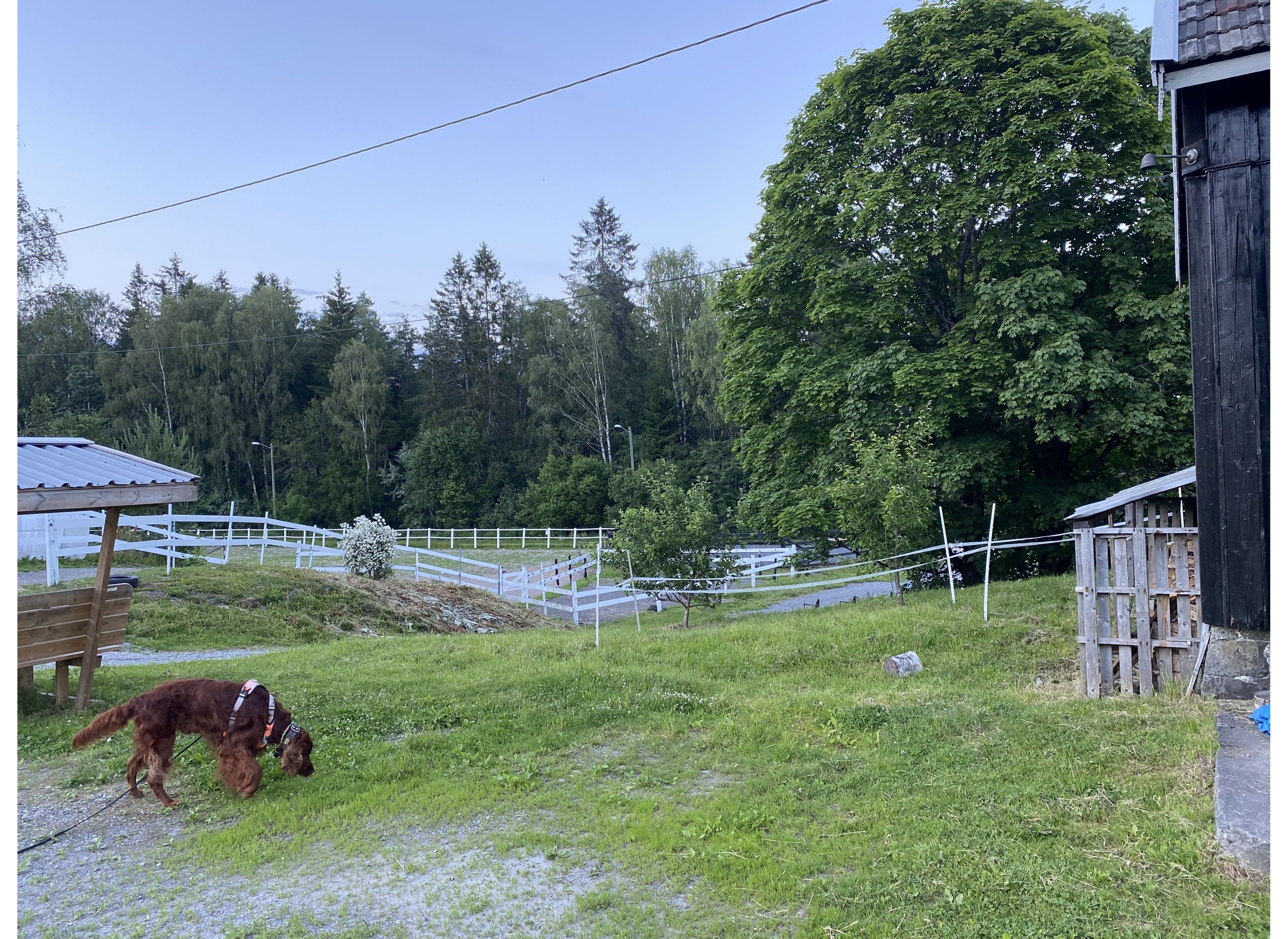 Ekornrud — Campingplads in Kolbotn