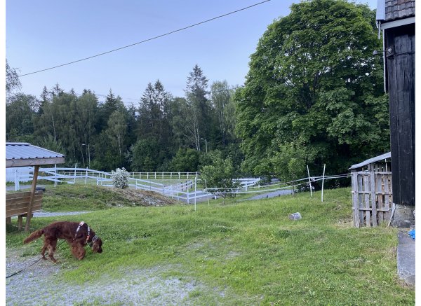Ekornrud — Foto 4