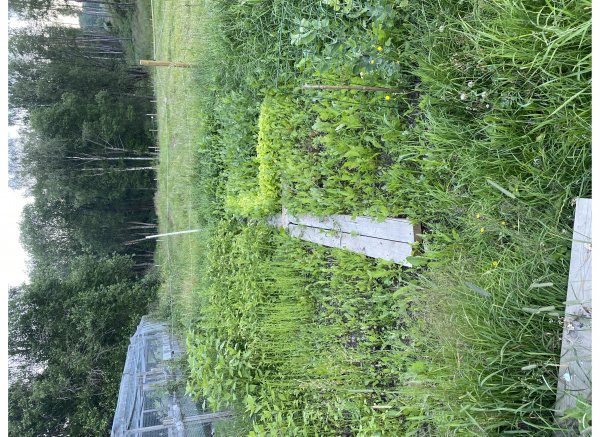 Ekornrud — Photo 2