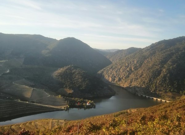 Pousa 'douro — Photo 3