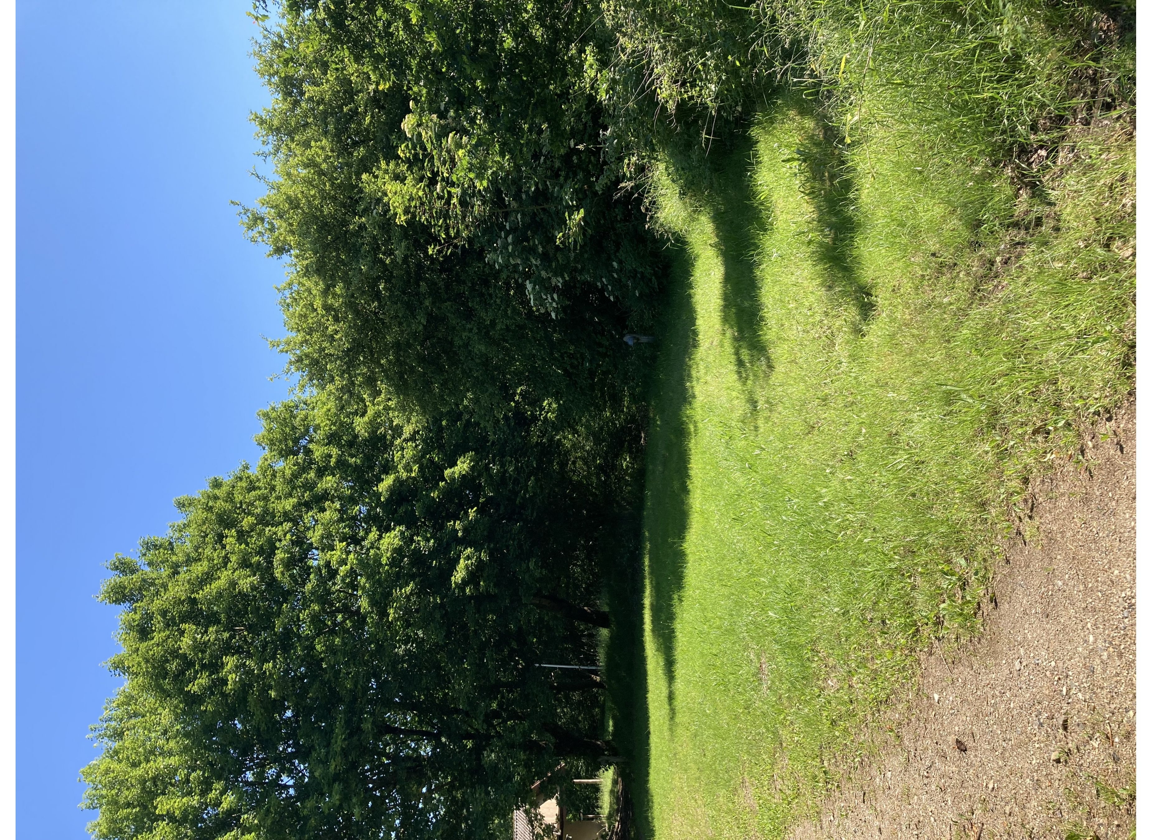 Birkemose bed and breakfast — Area Autocaravanas in Kolding