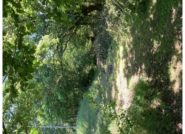 Birkemose bed and breakfast — Photo 2